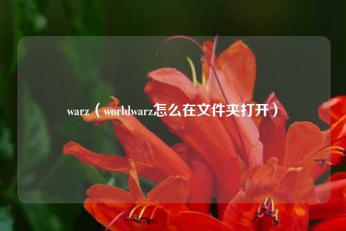 warz（worldwarz怎么在文件夹打开）