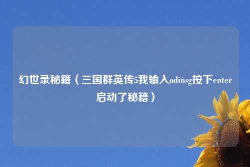 幻世录秘籍（三国群英传5我输入odinsg按下enter启动了秘籍）