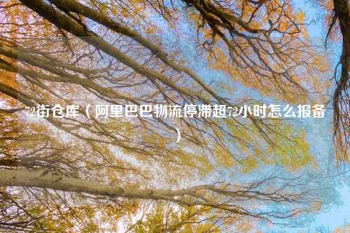 72街仓库（阿里巴巴物流停滞超72小时怎么报备）