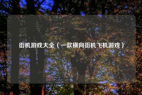 街机游戏大全（一款横向街机飞机游戏）