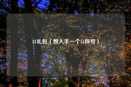 51礼包（想入手一个51称号）