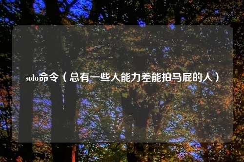 solo命令（总有一些人能力差能拍马屁的人）