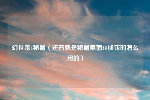 幻世录1秘籍（还有就是秘籍里面F8加钱的怎么用的）