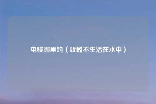 电鳗哪里钓（蚯蚓不生活在水中）