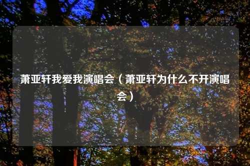 萧亚轩我爱我演唱会（萧亚轩为什么不开演唱会）