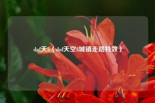 dnf天5（dnf天空8城镇走路特效）