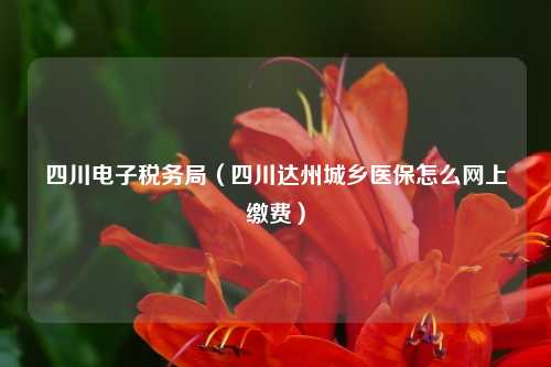 四川电子税务局（四川达州城乡医保怎么网上缴费）