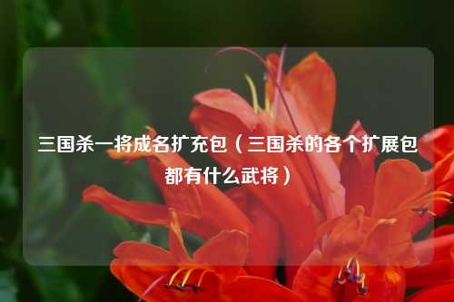 三国杀一将成名扩充包（三国杀的各个扩展包都有什么武将）