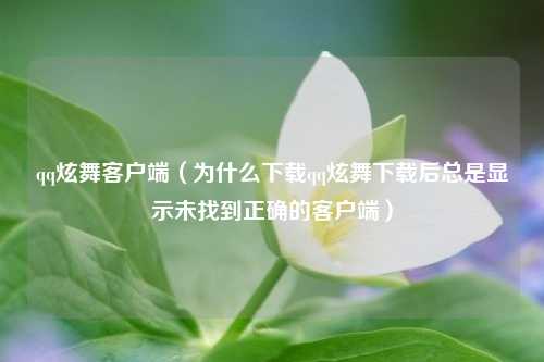 qq炫舞客户端（为什么下载qq炫舞下载后总是显示未找到正确的客户端）