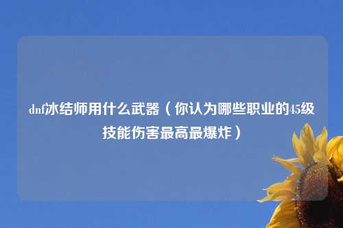 dnf冰结师用什么武器（你认为哪些职业的45级技能伤害最高最爆炸）
