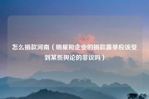 怎么捐款河南（明星和企业的捐款善举应该受到某些舆论的非议吗）