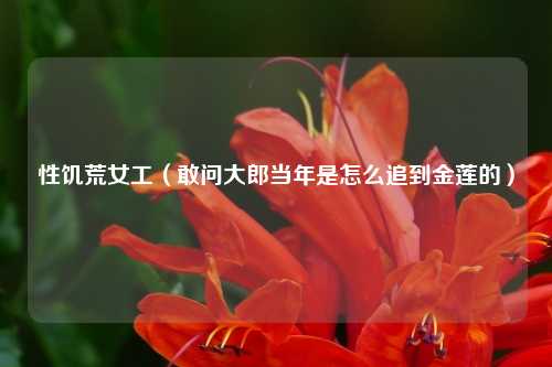 性饥荒女工（敢问大郎当年是怎么追到金莲的）