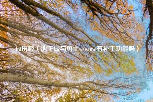 dnf屏蔽（地下城与勇士wegame有补丁功能吗）