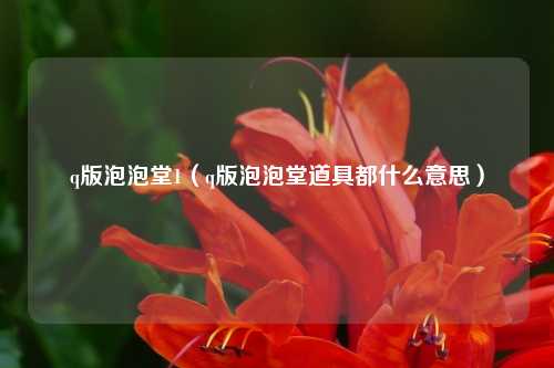 q版泡泡堂1（q版泡泡堂道具都什么意思）