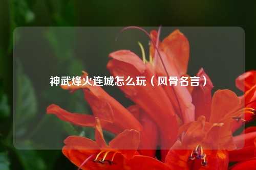 神武烽火连城怎么玩（风骨名言）