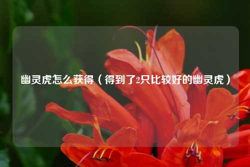 幽灵虎怎么获得（得到了2只比较好的幽灵虎）