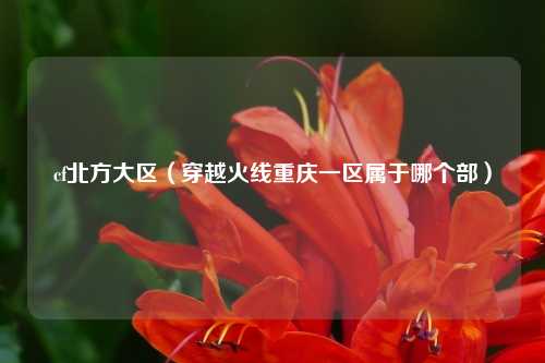 cf北方大区（穿越火线重庆一区属于哪个部）