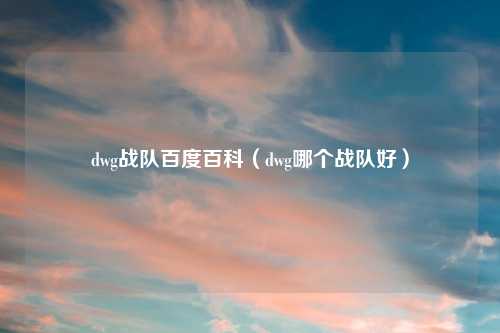 dwg战队百度百科（dwg哪个战队好）