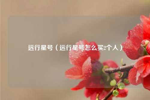 远行星号（远行星号怎么买2个人）