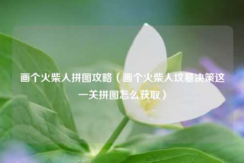 画个火柴人拼图攻略（画个火柴人坟墓决策这一关拼图怎么获取）