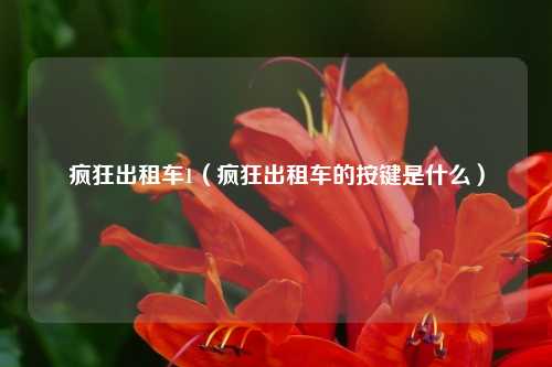 疯狂出租车1（疯狂出租车的按键是什么）