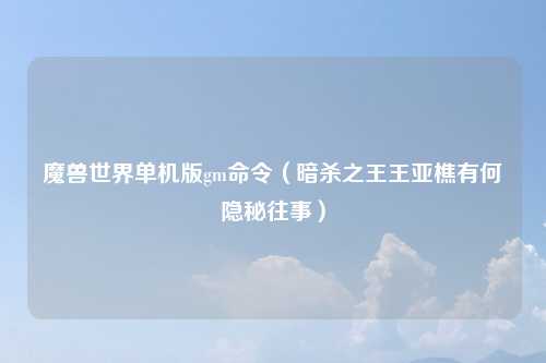 魔兽世界单机版gm命令（暗杀之王王亚樵有何隐秘往事）