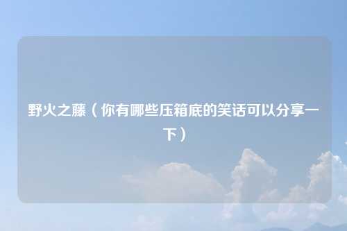 野火之藤（你有哪些压箱底的笑话可以分享一下）