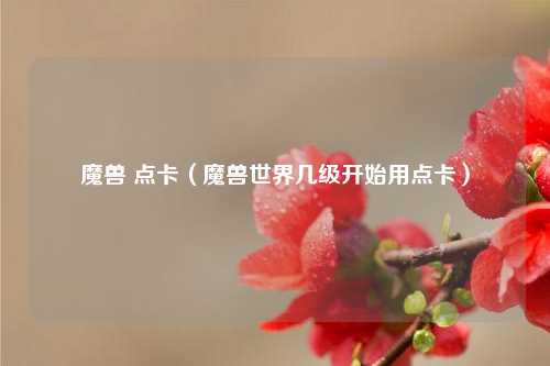 魔兽 点卡（魔兽世界几级开始用点卡）