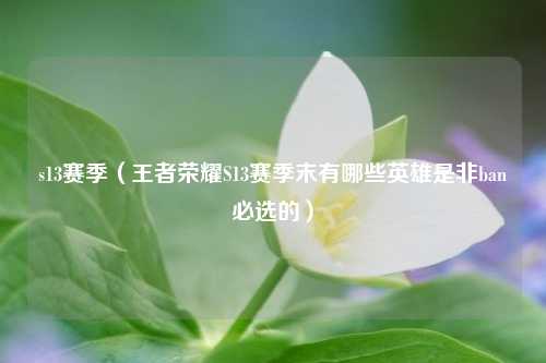 s13赛季（王者荣耀S13赛季末有哪些英雄是非ban必选的）