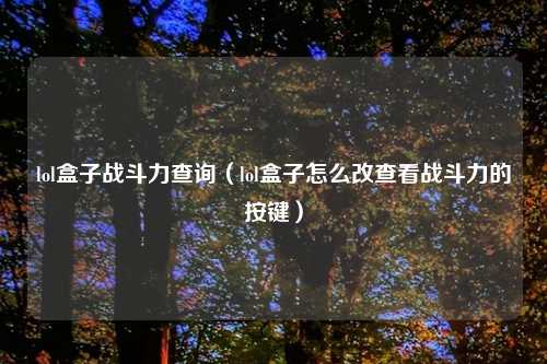 lol盒子战斗力查询（lol盒子怎么改查看战斗力的按键）