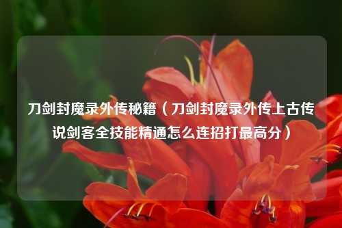 刀剑封魔录外传秘籍（刀剑封魔录外传上古传说剑客全技能精通怎么连招打最高分）
