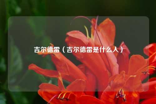 吉尔德雷（吉尔德雷是什么人）