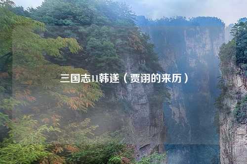 三国志11韩遂（贾诩的来历）