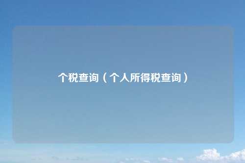 个税查询（个人所得税查询）