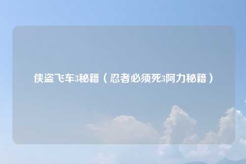侠盗飞车3秘籍（忍者必须死3阿力秘籍）