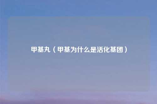 甲基丸（甲基为什么是活化基团）