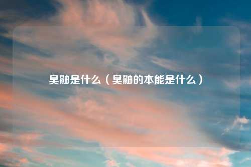 臭鼬是什么（臭鼬的本能是什么）