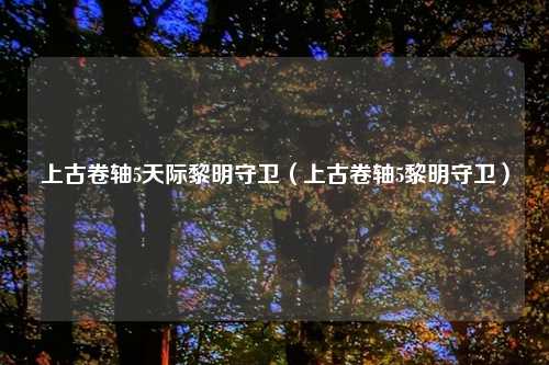 上古卷轴5天际黎明守卫（上古卷轴5黎明守卫）