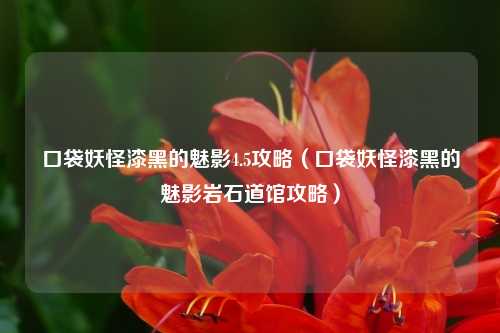 口袋妖怪漆黑的魅影4.5攻略（口袋妖怪漆黑的魅影岩石道馆攻略）