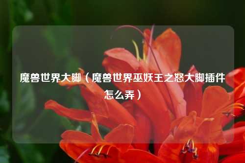 魔兽世界大脚（魔兽世界巫妖王之怒大脚插件怎么弄）