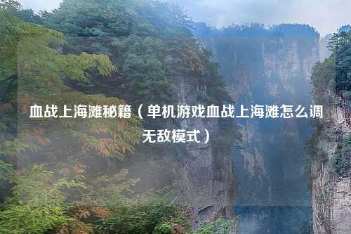 血战上海滩秘籍（单机游戏血战上海滩怎么调无敌模式）