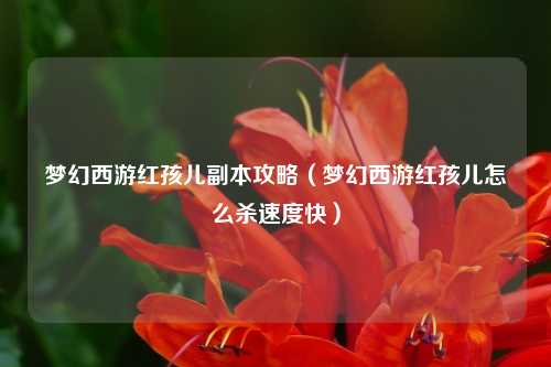 梦幻西游红孩儿副本攻略（梦幻西游红孩儿怎么杀速度快）