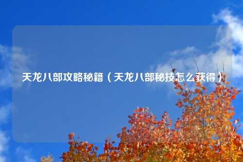 天龙八部攻略秘籍（天龙八部秘技怎么获得）