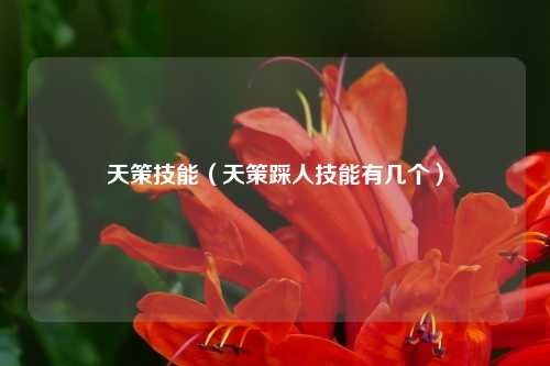 天策技能（天策踩人技能有几个）