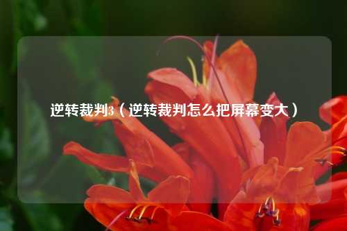 逆转裁判3（逆转裁判怎么把屏幕变大）