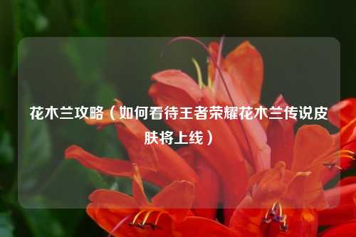 花木兰攻略（如何看待王者荣耀花木兰传说皮肤将上线）