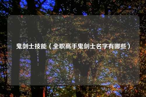 鬼剑士技能（全职高手鬼剑士名字有哪些）