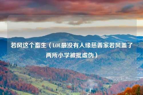 若风这个畜生（LOL最没有人缘慈善家若风盖了两所小学被批虚伪）