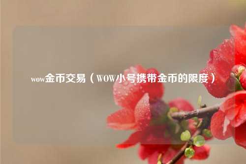 wow金币交易（WOW小号携带金币的限度）
