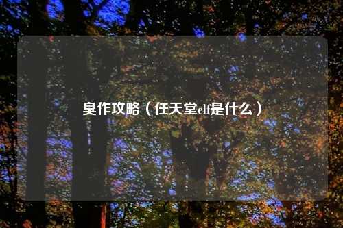 臭作攻略（任天堂elf是什么）